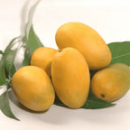 Multani DUSEHRI Mango-Available From 15th June