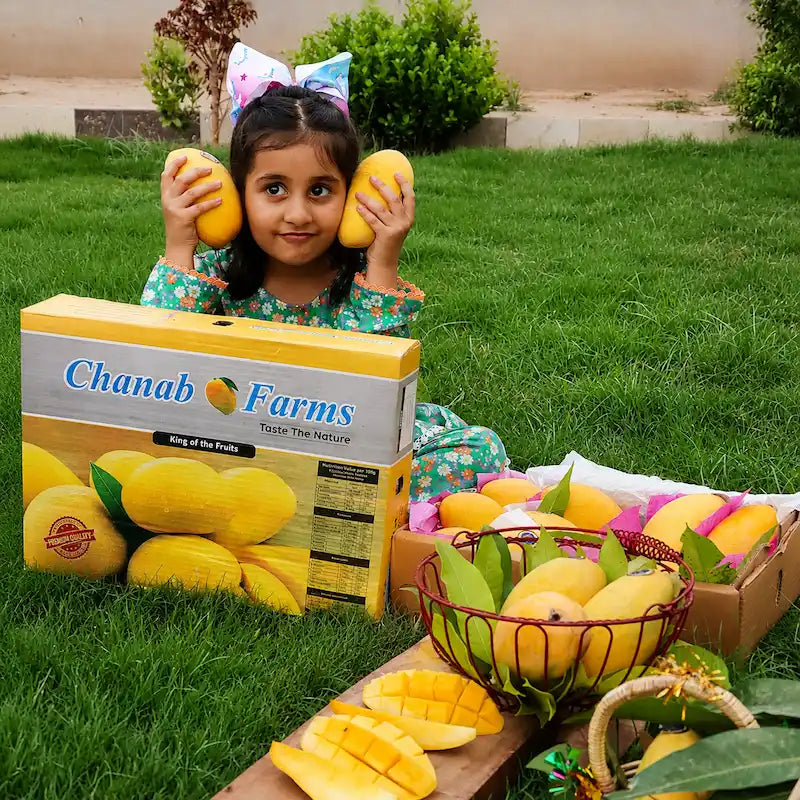 Multani Seasonal Samar Bahisht(White) Chaunsa-Available From 1st July