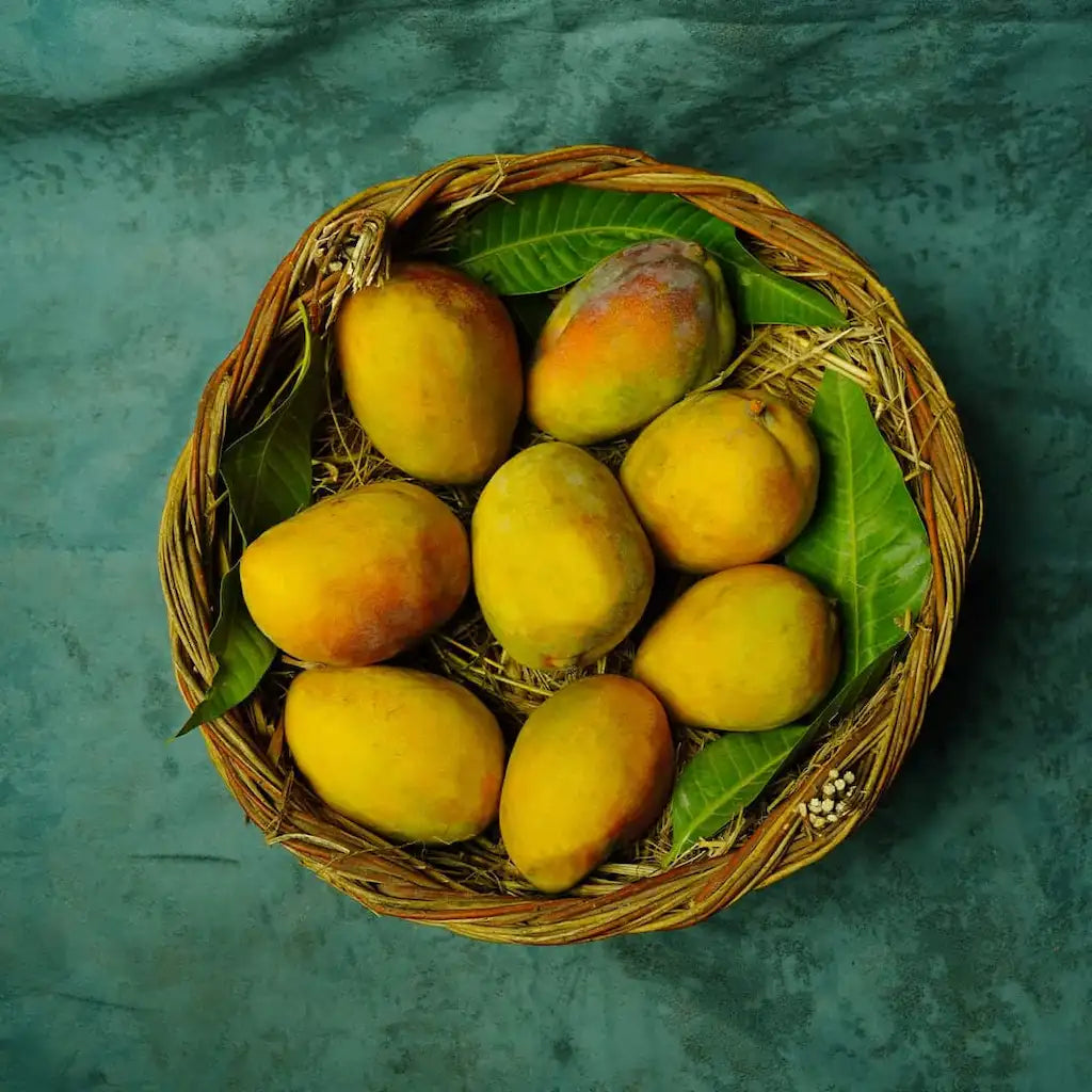 Multani Sensation Mango-Export Quality-Available From 30th of July