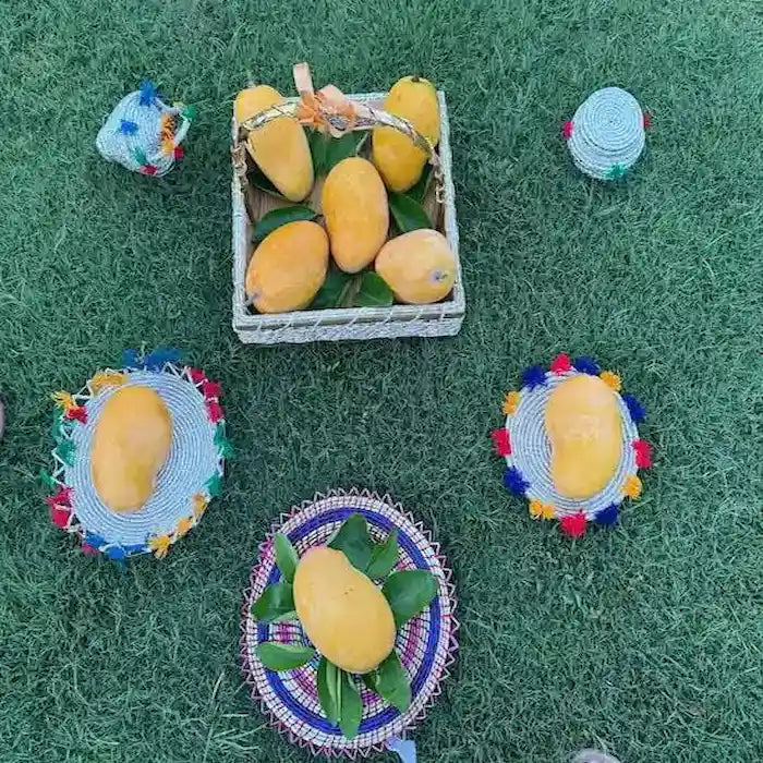 Multani Nawabpuri Chaunsa-Available From 25th July