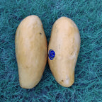 Multani Chanab Gold Mango-Available from 7th July